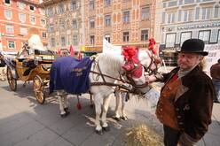 maidemo_graz09_kp_57.jpg