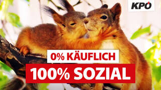 KPÖ-Wahlkampfbroschüre_mitTextmitLogo.jpg