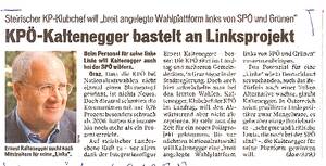 Kaltenegger_Linksprojekt.pdf