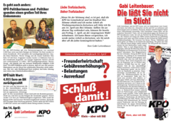 Dateivorschau: Falter_trofaiach 2013_web.pdf