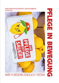 PfliB-8-Titelbild.png