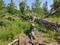 20210603_102037.jpg, ID:14604