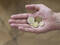 Geld-in-der-Hand.jpg, ID:10088