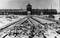 Auschwitz-Foto-Stanisław-Mucha-Bundesarchiv-wikimedia-commons.jpg, ID:9607