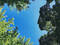 Augarten-Himmel.jpg, ID:14345