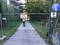 21728983_1708488012792768_1858048953505576069_o.jpg, ID:11756