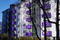 DSC01690.JPG, ID:12243