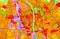 Bild1.png, ID:11497