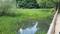 20180513_123534.jpg, ID:12202